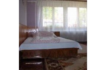 Унгария Privát Kiskunmajsa, Екстериор